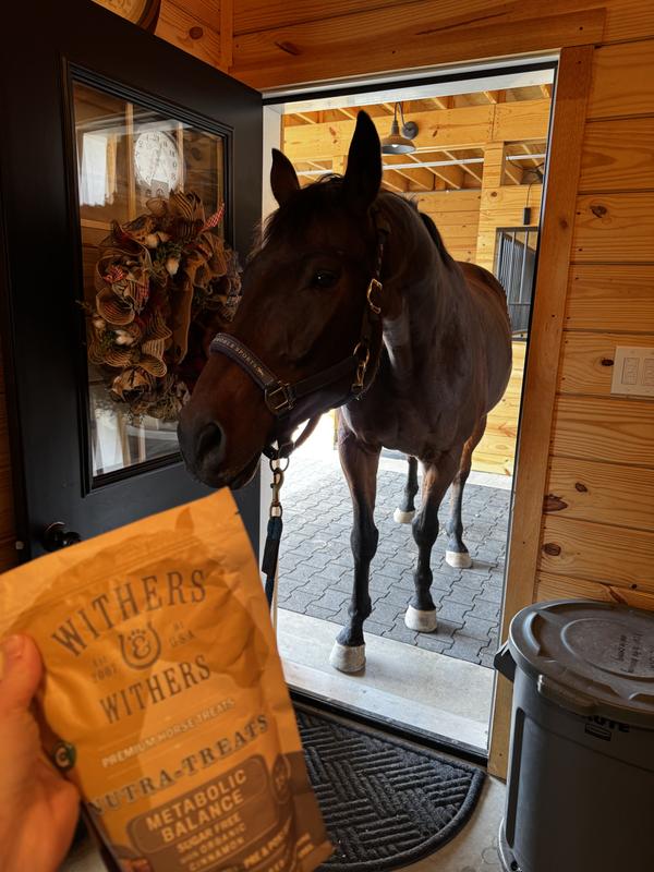 Weylan coming in the tack room because he had new treats to try!