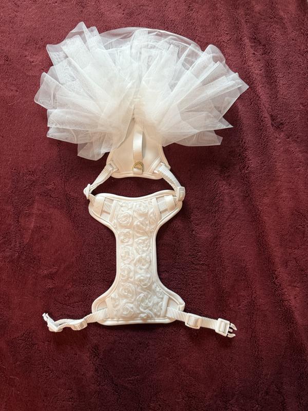 Soo cute, but SM chest plate fits like a MED