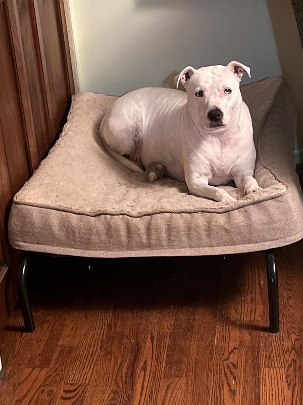 FRISCO SteelFramed Elevated Dog Bed, Brown, Medium