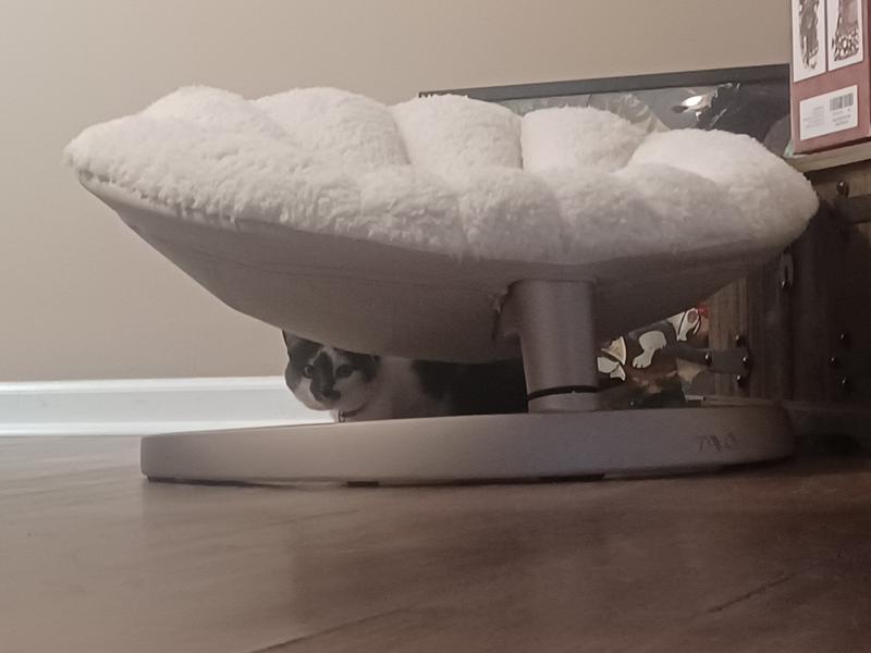 I often found her using the bed as a "hideout"