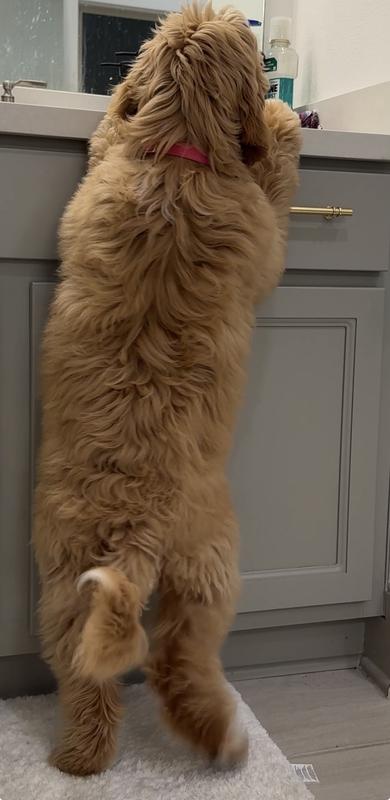 “Growing strong and tall on this food “