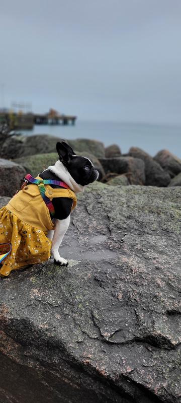 Maine, the way life should be