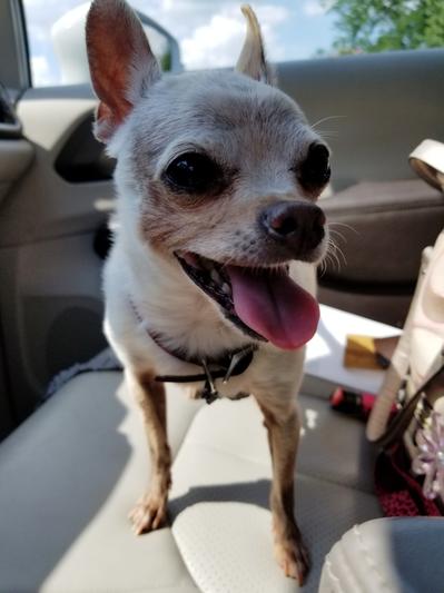 Happy boy!