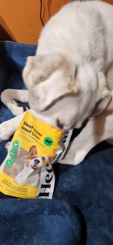 Up to his usual shenanigans with his human brother