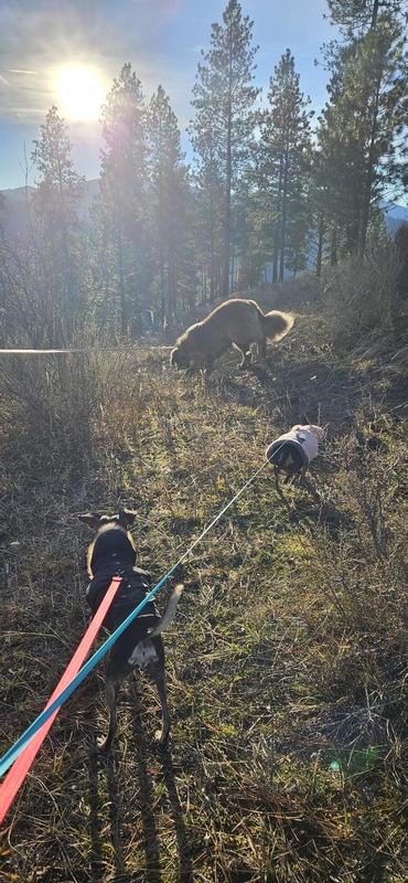 The fabric is soft and doesn't collect much plant matter on off-road adventures so winning there!