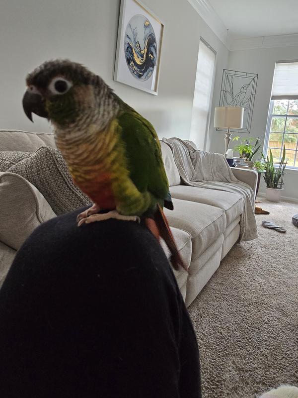 Baby waiting for lunch