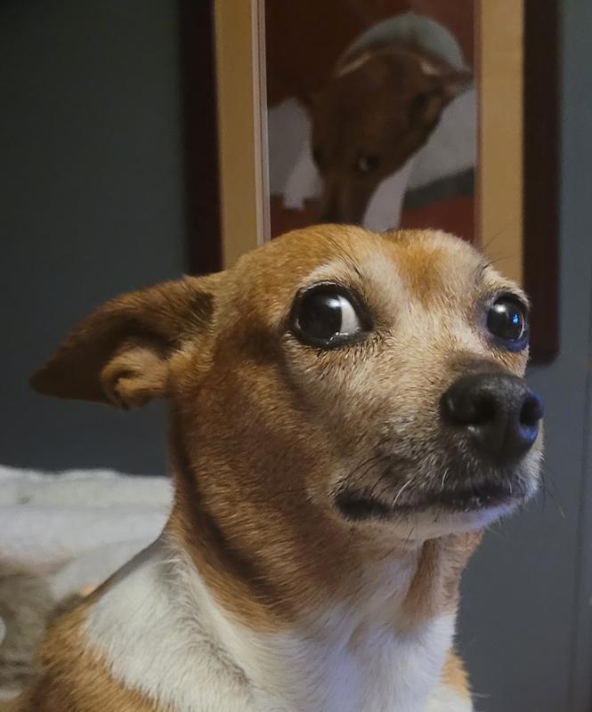 This food tastes weird, Daddy-O.