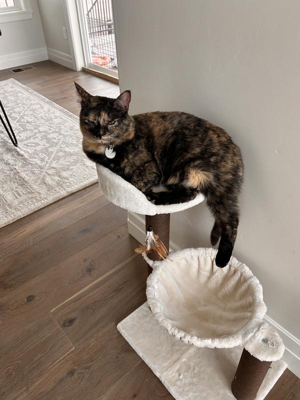 Her back legs hang off because she can’t grip anywhere with the rest of herself in it.