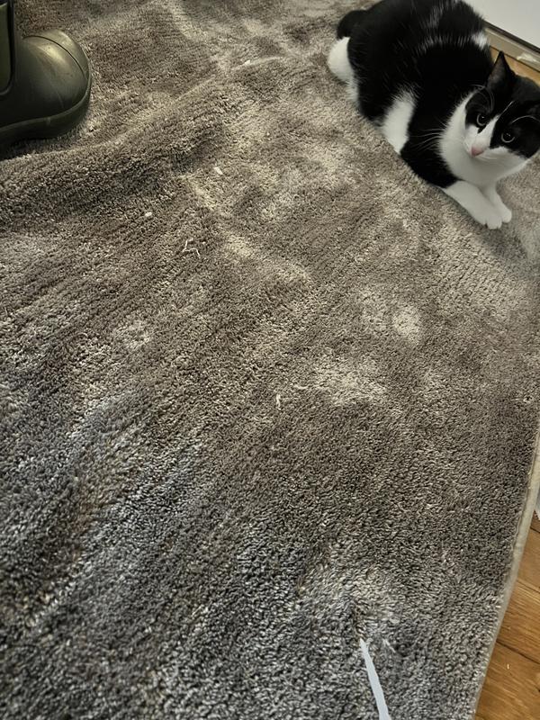 So many pulls, I just put this down.