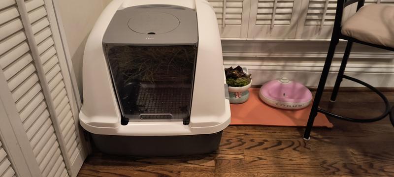 Cat it hotsell jumbo litter box