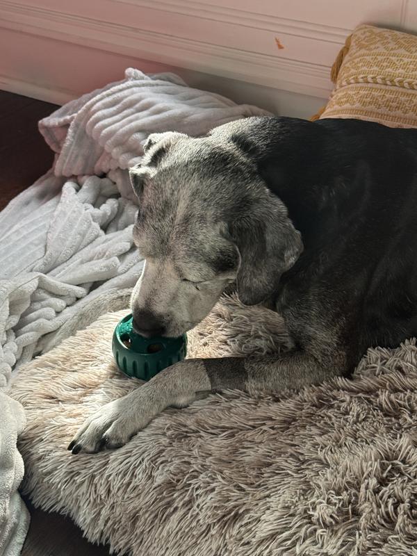 Lady having a blast with her Pupsicle toy