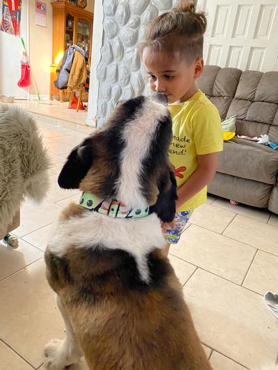 You did good my human.