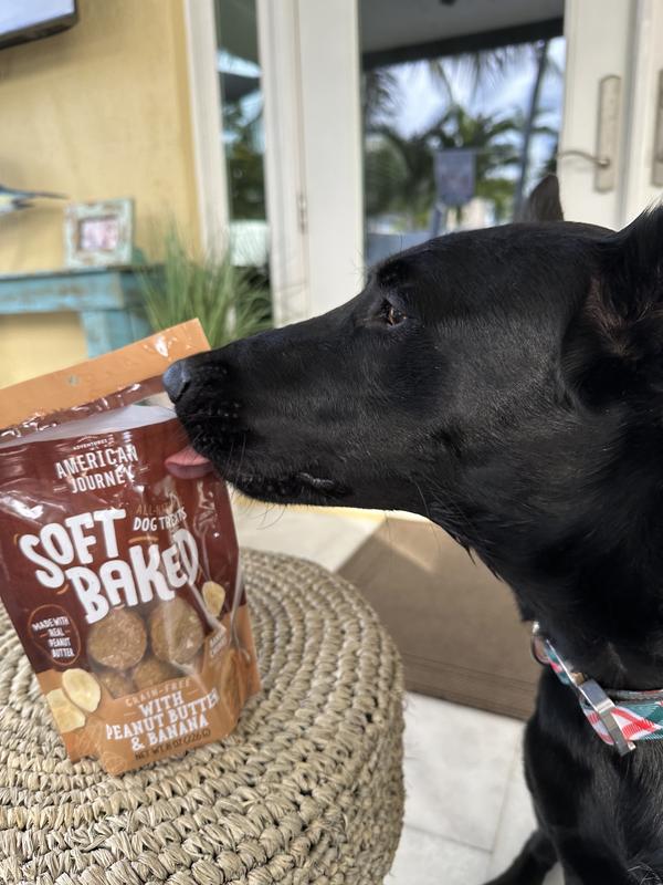 Here for all the Yummies!