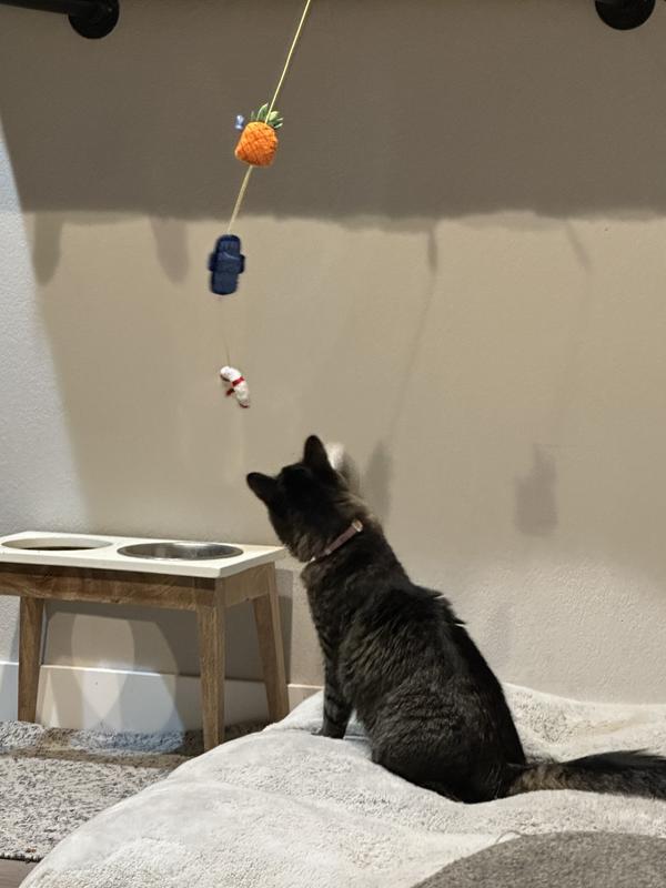 Jemma enjoying her toy