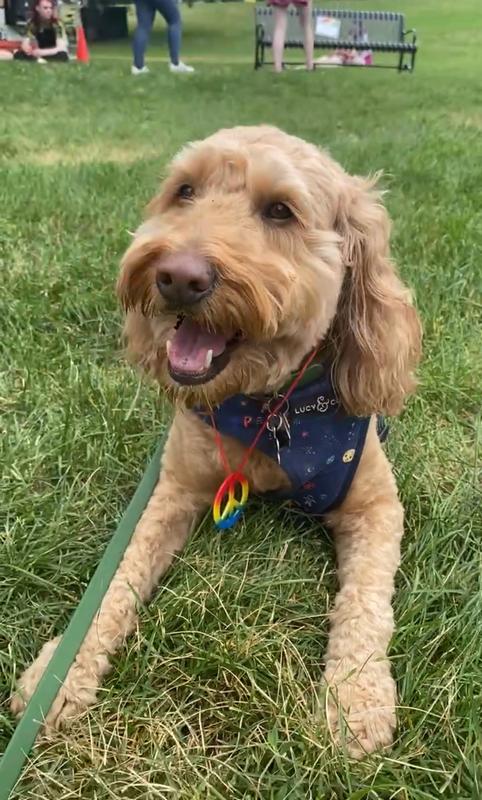 Outta this world cute!