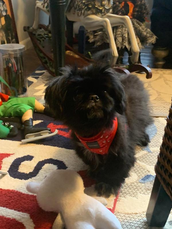 Chole Going On 16yrs old !! Lucky She's Hanging On