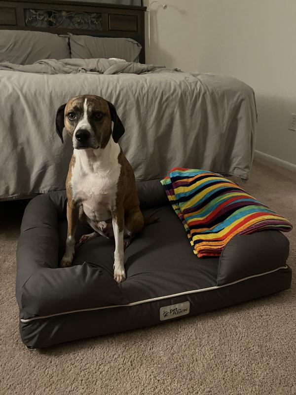 Pampered Pooch Perfection: Parody Chewy Vuiton Plush Dog Beds