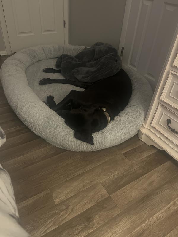 It’s bigger enough for a great  dane