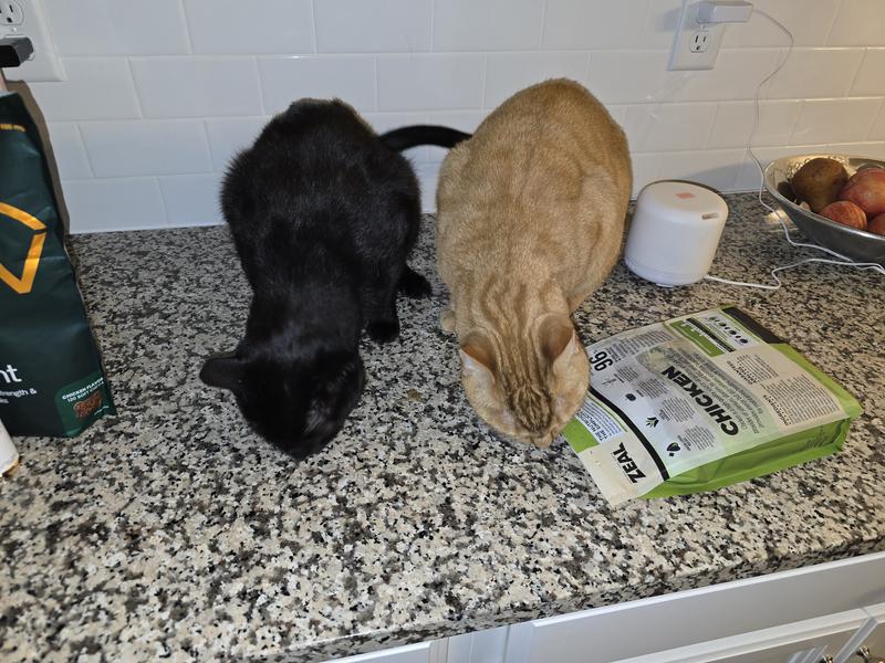 So do the cats (caught them at the bag)