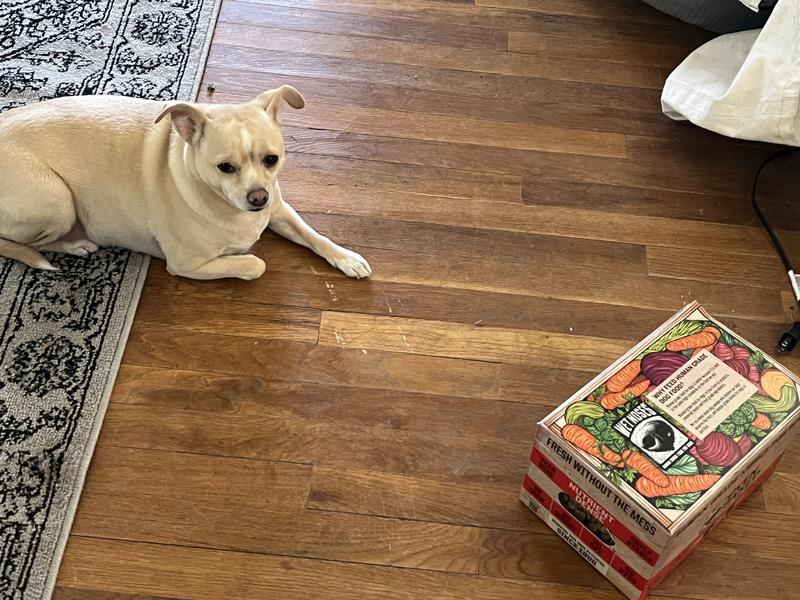 protect the box mode