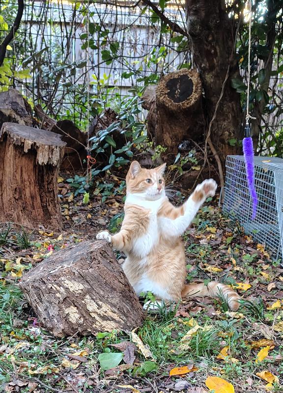 Patch showing how much she loves these Squiggles.