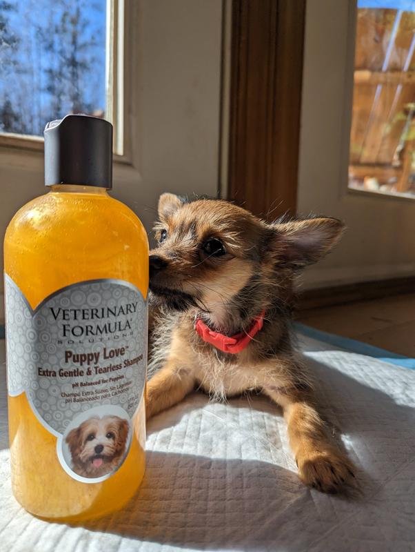 Veterinary formula clearance puppy love shampoo