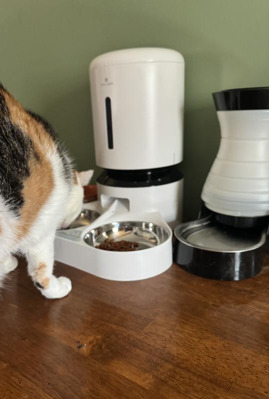 PETLIBRO Granary Automatic Two Cat Dog Feeder 3 Pet Food