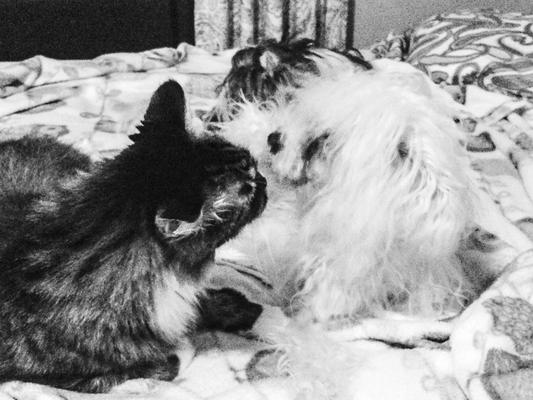 Doug and his pet Paco