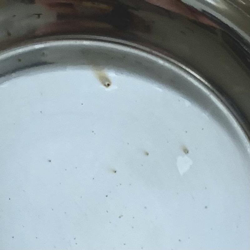 Rust (?) spots on inside of bowl