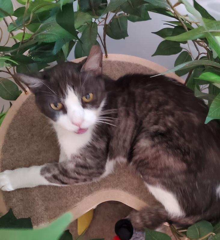 really I'm trying to nap here