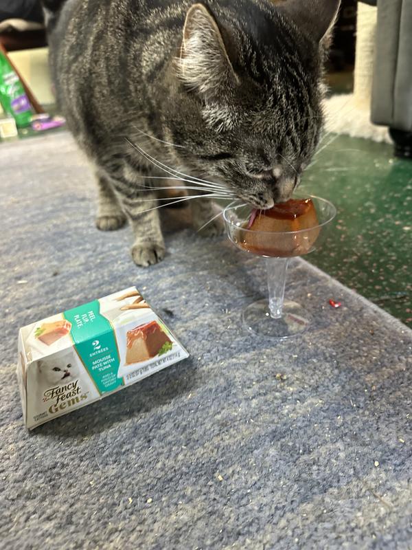 Dodie enjoying Fancy Feast Gems Mousse Pate