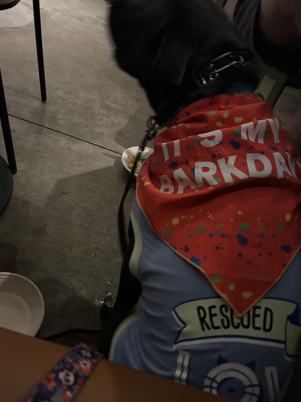 He was excited so hard to get a still picture!