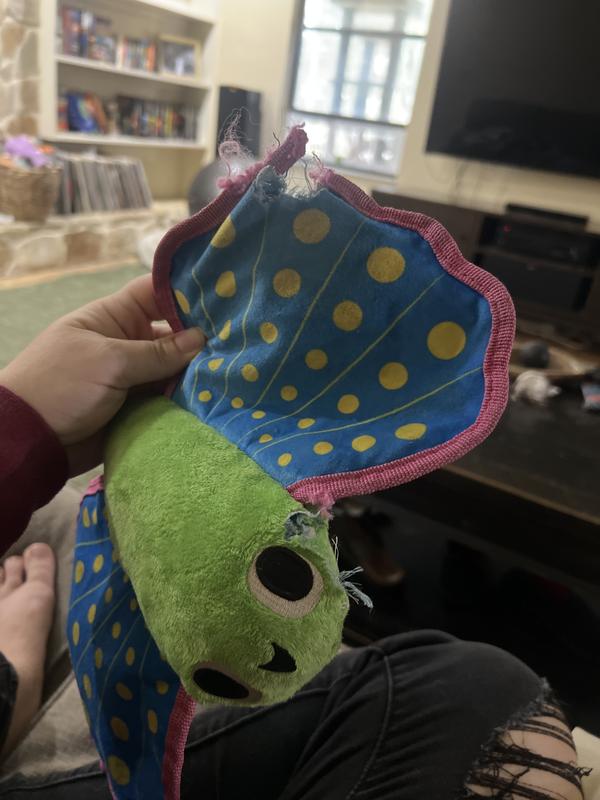 After two weeks of rough play (most toys are de-squeaked and husks by now)