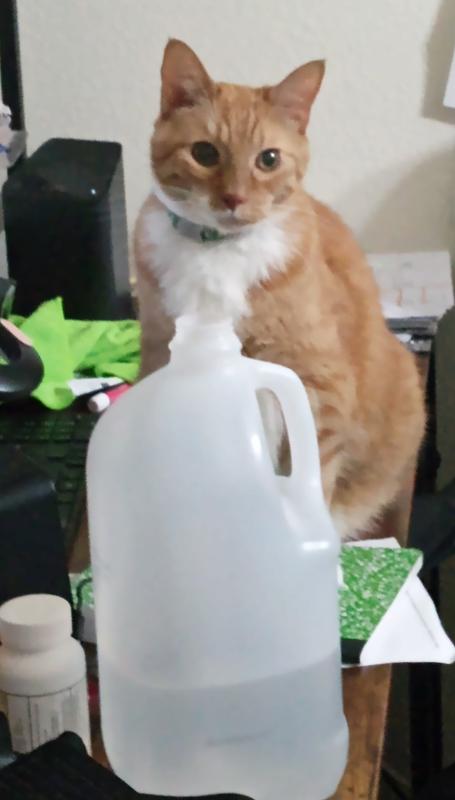 Smiles at Mom while causing havoc on computer desk.