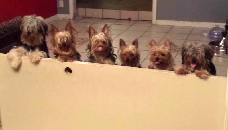 Excited babies hearing the bag opening.
