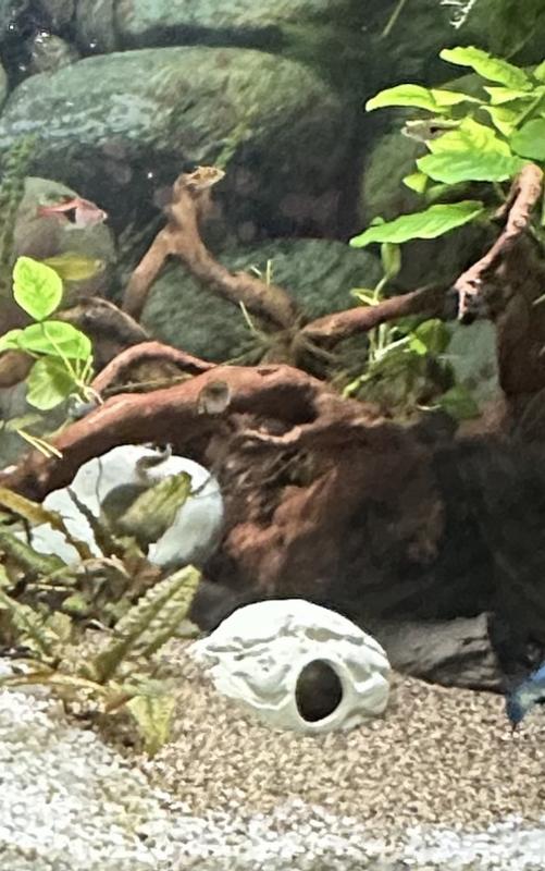 Capped off small section