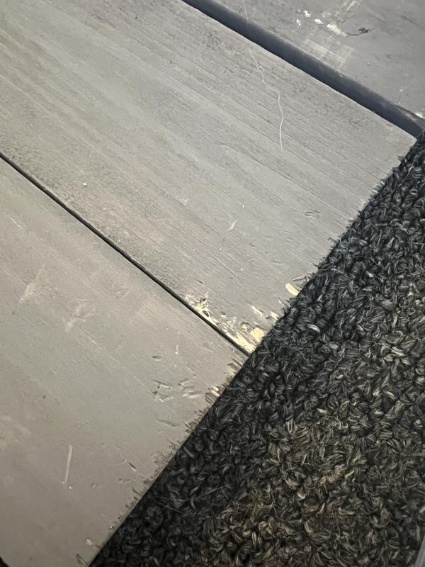 Lots of chips in wood