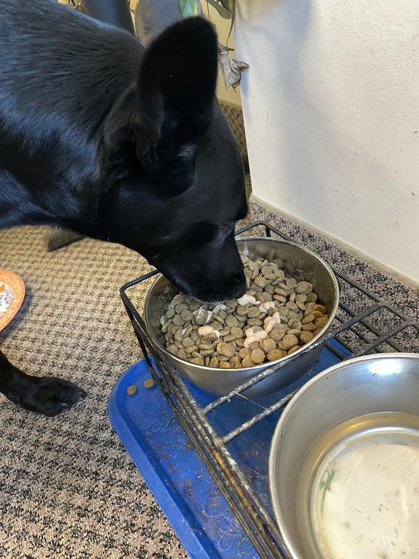 Gage is finally interested in eating her food because the purée is on it