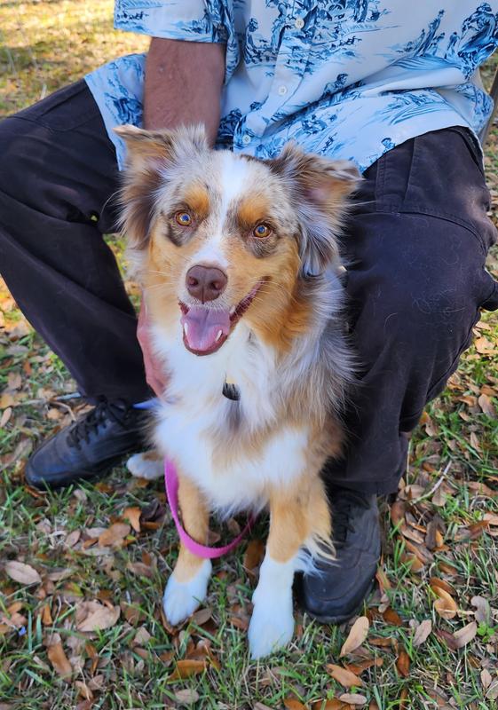 This is a picture of her 1 day after her bath.