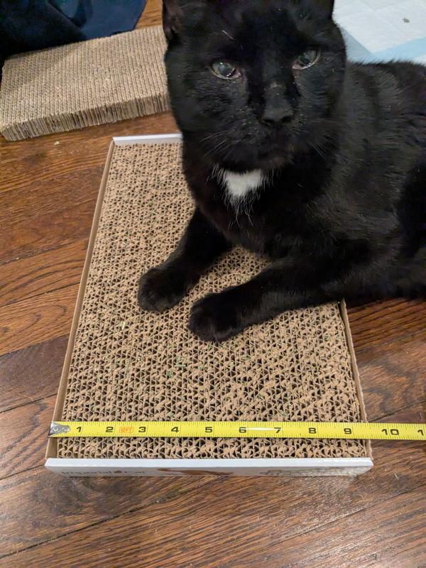 Misleading measurements in photos