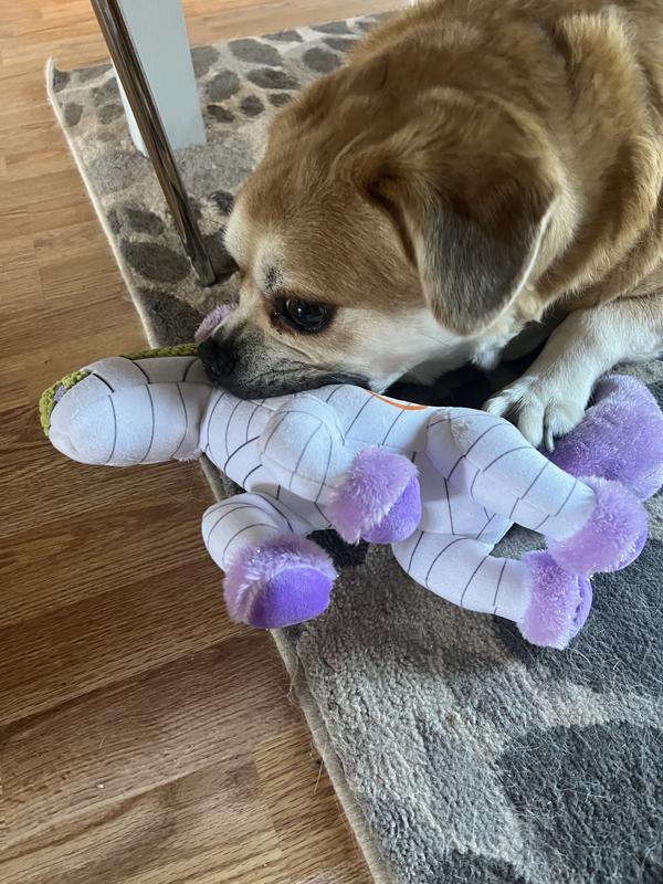 Sampson and his new Bestie