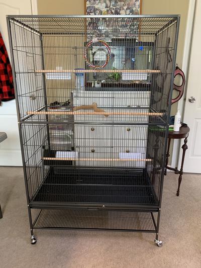 Out of Stock - PREVUE PET PRODUCTS Stand Flight Bird Cage - Chewy.com