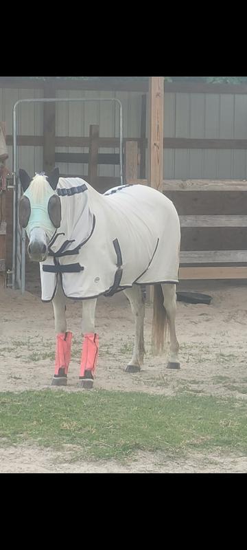 Look mom clean butt and legs:)