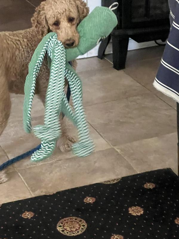 Stella and her octopus