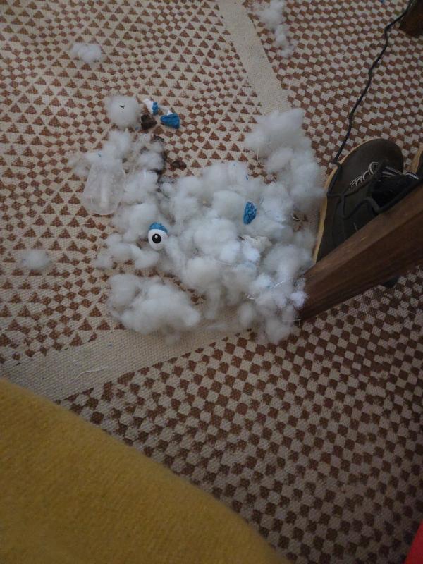 within 4 min the eye was removed. moments later we lost the patient.