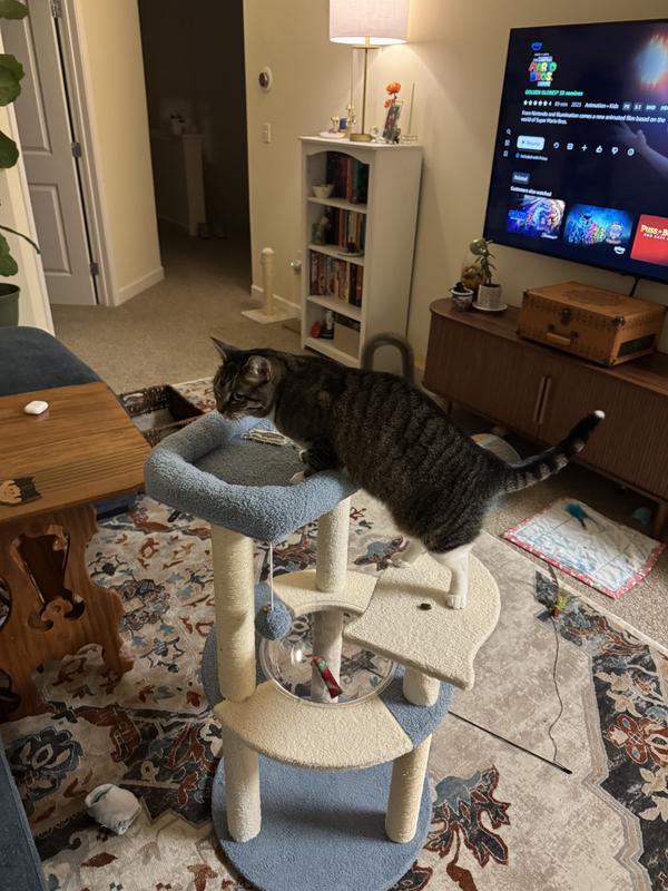 Plump baby investigating (she’s short but thick for size reference)