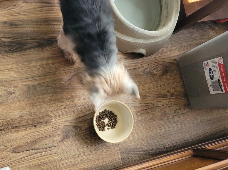 They love this food.