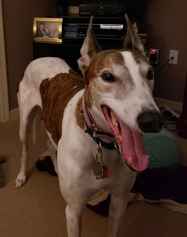 Happy to be feeling in his right mind.