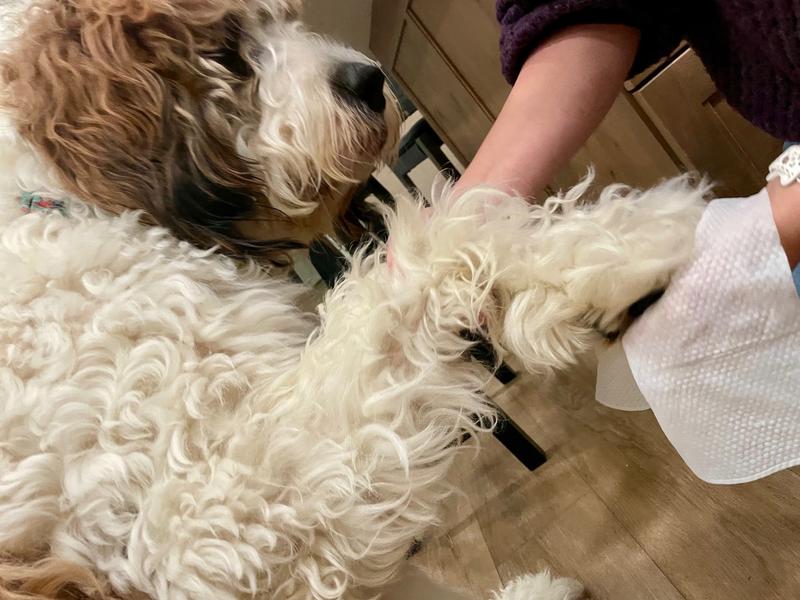 The perfect size for giant feet!