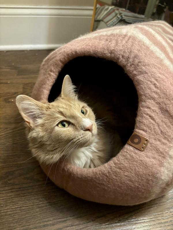 Memo peeking out of the bed